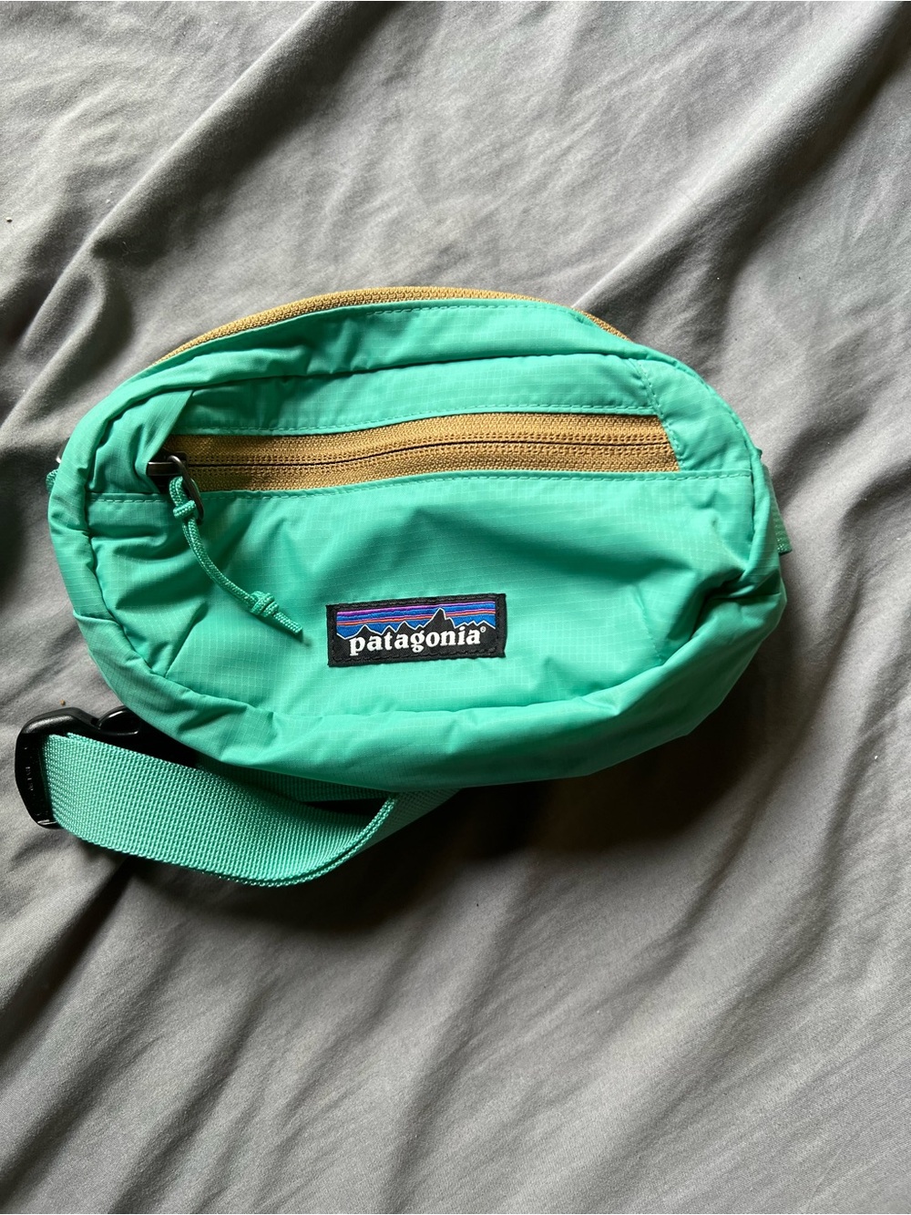 Patagonia Mint Green Belt Bag with Tan Zipper